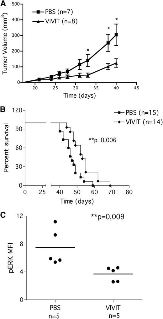 Figure 6. 11R-VIVIT slows leukemia progression in CLL xenograft model. MEC1 CLL cell line was injected subcutaneously into Rag2−/−γc−/− mice. Mice were challenged with 11R-VIVIT (daily intraperitoneal administration of 10 mg/kg) or with vehicle alone starting from day 10 after tumor injection. (A) In vivo VIVIT administration reduces tumor growth. Tumor growth curves obtained in Rag2−/−γc−/− mice that received a transplant subcutaneously in the left flank of MEC1 cells (10 × 106 cells). Ten days later, mice bearing MEC1 tumors were randomly assigned to one of the following daily intraperitoneal treatments: saline solution (PBS, n = 7) or 10 mg/kg VIVIT (n = 8). We evaluated tumor size by measuring perpendicular diameters with a caliper. Animals were sacrificed when the tumor volume reached 1000 mm3 or when animals showed clinical signs and symptoms. Measurements were stopped when 75% of originally treated mice were still surviving. Statistical analysis was performed with the Student t test (day 33, day 38 and day 40 PBS vs VIVIT, P < .05). (B) In vivo VIVIT administration improves mice survival. Kaplan-Meier survival plot for Rag2−/−γc−/− mice challenged subcutaneously in the left flank with MEC1 cells (10 × 106 cells). Ten days later, mice bearing MEC1 tumor were randomly assigned to one of the following daily intraperitoneal treatments: saline solution (PBS, n = 15) or 10 mg/kg VIVIT (n = 14). Animals were sacrificed when the tumor volume reached 1000 mm3 or when animals showed clinical signs and symptoms (median survival of untreated group 46 days, median survival of VIVIT treated group 52.5 days, P = .006). Data are from three independent experiments. (C) In vivo anergy reversal: pERK1/2. pERK1/2 expression on MEC1 cells present in the spleen of animals injected with the cell line. At time of sacrifice, spleens were collected, processed, and stained for CD19 and phoshorylated ERK1/2, as described in the “Materials and methods” section. Statistical analysis was performed by use of the Student t test.