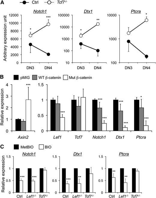 Figure 1. TCF-1 and activated β-catenin negatively regulate Notch1 and its target genes in DN3 thymocytes. (A) Elevated expression of Notch1 and its target genes in TCF-1–deficient DN3 and DN4 thymocytes. Tcf7−/− mice were age 8 weeks or younger and without overt signs of thymic malignancy at the time of analysis. DN subsets were sorted from lineage-negative thymocytes from Tcf7−/− mice or littermate controls and assessed for gene expression. The relative expression level of individual genes was obtained by normalizing to the Hprt1 housekeeping gene. Data are means ± standard deviation from 1 of 3 experiments with similar results (n ≥ 3 in each experiment). (B) Activated β-catenin represses the expression of Notch1 and its targets in DN3 thymocytes. Lineage-negative DN thymocytes were cultured on OP9-DL1 stromal cells10 overnight in the presence of interleukin-7 (5 ng/mL) and then infected with empty retroviral vector pMIG or that expressing wild-type (WT) or mutant β-catenin. The mutant β-catenin has internal deletions of its N-terminal Ser/Thr phosphorylation sites and is therefore constitutively active.8 Twenty-four hours later, the GFP+ DN3 thymocytes were sorted and analyzed for expression of indicated genes. After normalization to Hprt1, the expression of each gene in pMIG-infected cells was arbitrarily set to 1, and its relative expression in the presence of WT or mutant β-catenin was then calculated. Data were pooled from at least 3 independent experiments (n ≥ 7). Similar data were obtained with DN4 cells (not shown). (C) β-catenin–mediated Notch repression depends on TCF-1. DN3 thymocytes were sorted from control mice, Vav1-Cre Lef1−/− 6 or Tcf7−/−, cultured in the presence of 5 µM MetBIO or BIO for 6 hours, and then harvested for gene expression analysis. After normalizing to Hprt1, the expression of each gene in MetBIO-treated cells was arbitrarily set to 1, and its relative expression in BIO-treated samples was then calculated. Data are pooled from 2 independent experiments (n ≥ 3). *, P < .05; **, P < .01; ***, P < .001 by Student t test. Note that although multiple TCF/LEF binding motifs were found within “–30 kb ∼ +10 kb” of transcription initiation sites of the Notch1, Dtx1, and Ptcra genes, we did not find enriched binding of TCF-1 to these motifs in DN3 thymocytes. Further studies are necessary to determine if repression of Notch1 and its targets by TCF-1 is mediated by direct regulation via more distal TCF/LEF motifs or by indirect mechanisms.