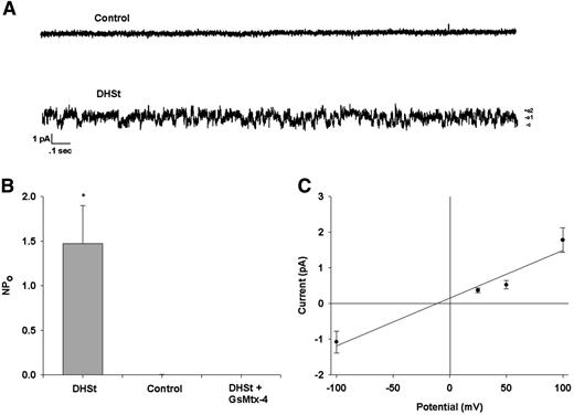 Figure 4. Cation channel activity in on-cell patch recordings of DHSt red cells from patient SF. (A) Representative graphs of channel activity in on-cell patches from an unrelated normal cell (above) and a DHSt red cell from patient SF. (B) NPo of channel activity in DHSt red cells from patient SF (n = 4), from an unrelated volunteer (Control, n = 3) and from patient SF in the presence of pipet GsMTx-4 (2.5 μM; n = 3); *P < .05. (C) I-V curve of a representative on-cell patch record from a DHSt red cell of patient SF.