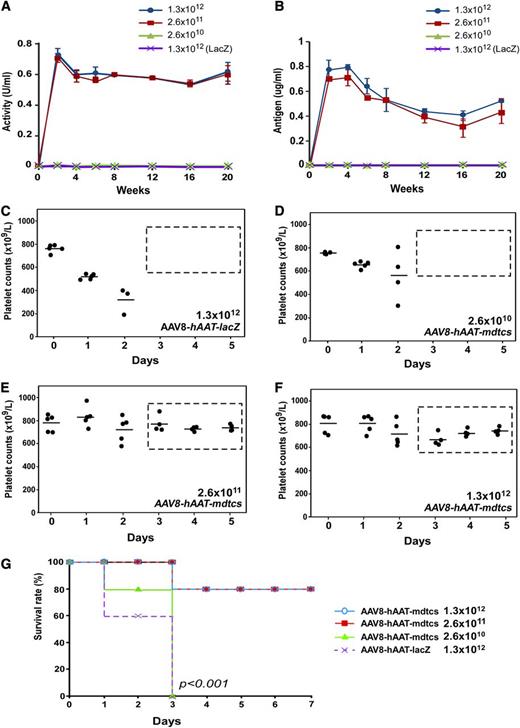 Figure 2. Plasma levels and therapeutic efficacy of the expressed plasma ADAMTS13 variant in mice. (A-B) The dynamic changes of plasma VWF-cleaving activity (U/mL) and antigen (μg/mL) over time (weeks), as determined by rFRETS-mVWF73 and ELISA, respectively, in mice treated with various doses of AAV8-hAAT-mdtcs. Each time point represents the mean ± SD of 5 individual mice (n = 5). Wild-type murine plasma pooled from 10 mice was used as a standard for the calibration of proteolytic activity (1 U/mL). A purified recombinant mdtcs fragment spiked into the Adamts13−/− murine plasma was used for calibration of plasma antigen levels. (C-F) The daily platelet counts before (day 0) and after the Stx2 challenge in Adamts13−/− mice that were pretreated with a single dose of AAV8-hAAT-lacZ (1.3 × 1012 vg/kg) or various doses of AAV8-hAAT-mdtcs as indicated. (G) The Kaplan-Meier survival rates over 7 days in mice treated with control vector and therapeutic AAV8 vector at various doses and challenged with Stx2. A P value < .001 is considered statistically significant.