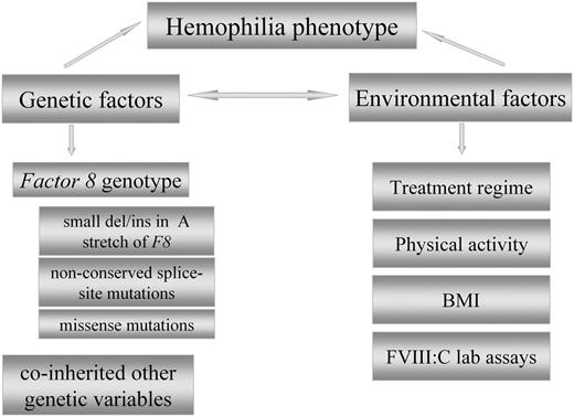 Possible factors affecting the variability of hemophilia phenotype. BMI, body mass index; del/ins, deletions/insertions; FVIII:C, factor VIII activity. Adapted from Pavlova and Oldenburg.9