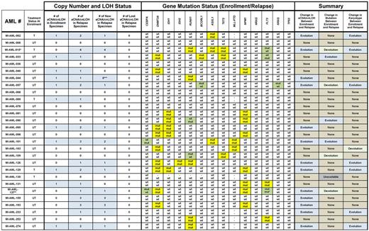 Summary of aCNA, cnLOH, gene mutations, and karyotype changes in 28 paired AML samples procured at presentation and relapse. Blue fields indicate presence of aCNA or cnLOH or abnormal karyotypes. Yellow fields indicate presence of gene mutations. Green fields indicate a change in the status of a gene mutation. *MI-AML-15 had no germ line DNA available; for this case only CNV > 1 Mb are included in this analysis. **MI-AML-137 shows a different FLT3 ITD between enrollment and relapse. ***The relapse specimen of MI-AML-044 demonstrated elongation of a segment of CN-LOH present in the enrollment specimen.