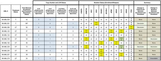Summary of aCNA, cnLOH and gene mutations in 11 AML samples at presentation and at disease persistence following chemotherapy. Blue fields indicate presence of aCNA or cnLOH or abnormal karyotypes. Yellow fields indicate presence of gene mutations. Green fields indicate a change in the status of a gene mutation.