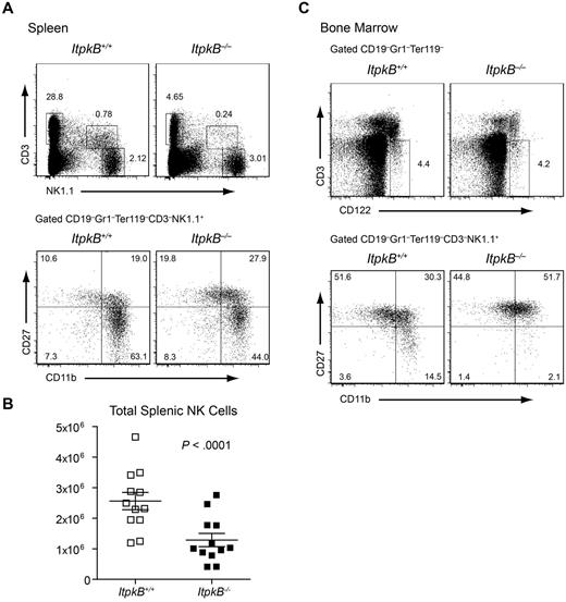 Figure 1. A maturational defect causes reduced NK cell numbers in ItpkB−/− mice. Splenocytes (A) and BM cells (C) from WT and ItpkB−/− mice were stained for CD3 and NK1.1 or the indicated lineage markers, CD122, CD27, and CD11b to distinguish terminal maturational stages17 and analyzed by flow cytometry. WT level CD3−NK1.1+ NK cell (spleen; A) and CD3−CD122+ NK cell precursor (BM; C) percentages reflect the profound CD3+NK1.1− T-cell deficiency in ItpkB−/− mice.26,31,32 However, CD11b+CD27− mature NK cells were considerably reduced in ItpkB−/− spleens and BM. (B) Paired Student t test analysis (n = 12) revealed a significant reduction (P < .0001) of total splenic NK cell numbers in ItpkB−/− mice.