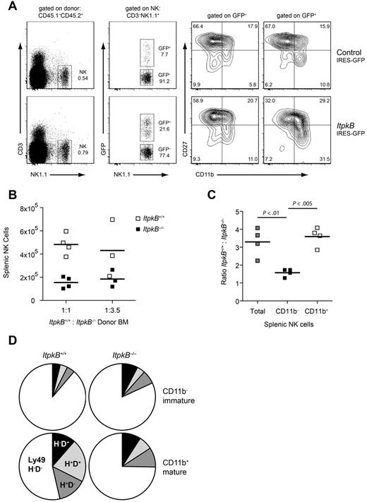 Figure 2. A cell-intrinsic defect impairs maturation of ItpkB−/− NK cells. (A) Purified ItpkB−/− donor HSCs (CD45.1−CD45.2+) were infected with bicistronic retroviruses expressing GFP alone (control) or together with WT ItpkB and injected intravenously into lethally irradiated CD45.1+CD45.2+ recipients. Five to 10 weeks later, ItpkB−/− donor HSC-derived cells were identified by CD45.1−CD45.2+ expression (supplemental Figure 3A). Retrovirally transduced cells were identified by GFP expression. NK cells reconstituted with WT ItpkB (GFP+; lower right), but not empty vector (top panel) or nontransduced cells (GFP−) efficiently developed into CD11b+CD27− NK cells. (B-C) Lethally irradiated CD45.1+CD45.2+ recipients were injected with the indicated ratios of lymphocyte-depleted WT CD45.1+:ItpkB−/− CD45.2+ BM cells and analyzed 6.5 weeks later. (B) Total WT (□) or ItpkB−/− (■) CD3−NK1.1+ NK cell numbers in individual recipients. Horizontal lines denote the means of the respective populations. (C) WT:ItpkB−/− total number ratios of splenic CD3−NK1.1+ NK cells (Total), CD3−NK1.1+NKG2D+CD11b− immature, and CD3−NK1.1+NKG2D+CD11b+ mature NK cells. Statistical significance of the indicated comparisons was assessed via paired Student t test (n = 4). (D) Pie charts showing the percentage of immature (CD11b−; top) or mature (CD11b+; bottom) splenic NK cells expressing the indicated Ly49D and H combinations in the ItpkB+/+ (left) or ItpkB−/− (right) compartment. Qualitatively similar results were found for ItpkB+/+:ItpkB−/− HSC injection ratios of 5:1 and 1:3.5 or when CD3−NK1.1+NKG2D+ cells were analyzed (not shown). Results shown are representative of 2 independent experiments.