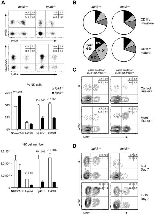 Figure 3. ItpkB−/− NK cells express an immature NKR repertoire that persists in IL-2 or IL-15 culture but is normalized upon ectopic ItpkB expression. (A-D) CD94-coupled (NKG2A/C/E) and Ly49 NKRs were assessed on splenic NK cells by flow cytometry. (A) Top, representative dot plots indicating the percentage of cells in the respective quadrants. Center and bottom, bar graphs depicting mean ± SEM, percentages or total numbers of splenic NK cells expressing the indicated NKRs in WT (open bars) or ItpkB−/− (black bars) mice (n = 5). (B) Pie charts showing the percentage of immature (CD11b−; top) or mature (CD11b+; bottom) splenic NK cells expressing the indicated Ly49D/H combinations in ItpkB+/+ or ItpkB−/− mice, respectively. Results shown are representative of at least 4 independent experiments. (C) Retrovirally transduced BM chimeras were generated as in Figure 2A. Shown is Ly49D/H expression on GFP− versus GFP+ ItpkB−/− donor-derived splenic NK cells transduced with empty (top) or WT ItpkB (bottom) expressing retroviruses. (D) Ly49D/H expression on purified WT and ItpkB−/− splenic NK cells cultured for 7 days in IL-2 (1000 U/mL; top) or IL-15 (100 ng/mL; bottom).