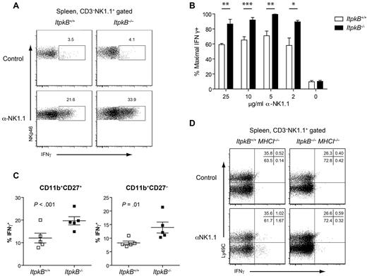 Figure 5. Enhanced IFNγ production by licensed but not unlicensed ItpkB−/− NK cells. (A) WT or ItpkB−/− splenic NK cells were stimulated with plate-bound anti-NK1.1 Abs (5 μg/mL) in the presence of 2μM monensin for 5 hours. IFNγ production was analyzed by intracellular FACS. (B) Splenic NK cells were stimulated with the indicated plate-bound anti-NK1.1 Ab concentrations. IFNγ secretion was normalized to the maximum observed (100%) and is shown as mean ± SEM; n = 5 different experiments. Asterisks denote statistical significance for the indicated comparisons as determined by Student t test: ***P < .001; **P < .01; and *P < .05. (C) IFNγ production by CD11b+CD27+ versus CD11b+CD27− splenic NK cell mature subpopulations stimulated as in panel A. Horizontal bars denote mean ± SEM (n = 5). P values for genotype comparisons were obtained via paired Student t test. (D) Splenic NK cells from WT and ItpkB−/− mice crossed to a TAP-deficient (MHCI−/−) background, which lacks licensing self-ligands, were stimulated as in panel A and evaluated for IFNγ production.