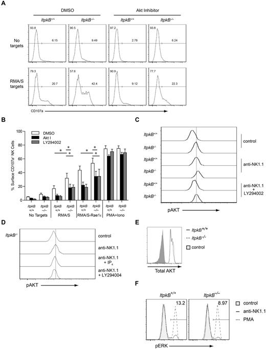 Figure 7. Akt promotes NK cell degranulation. (A) WT and ItpkB−/− splenic NK cells were pretreated with DMSO, Akt inhibitor VIII, or LY294002 for 1 hour before coculture with RMA/S targets for 2 hours. Degranulation was assessed by cell-surface staining of CD107a. Results shown are representative of 3 independent experiments. (B) Degranulation (mean ± SEM, n = 3) by WT and ItpkB−/− splenic NK cells stimulated with RMA/S or RMA/S-Rae1ϵ cells or PMA/ionomycin after pretreatment with DMSO, Akt inhibitor VIII, or LY294002. Asterisks indicate statistical significance of P < .05 for the indicated comparisons (paired Student t test, n = 3). (C-D) Akt activation was assessed in WT and ItpkB−/− splenic NK cells stimulated without (control) or with Abs against NK1.1 without (anti-NK1.1) or together with 25μM PI3K-inhibitor (anti-NK1.1 + LY294002) or 50μM cell-permeable IP4-ester (anti-NK1.1 + IP4) by intracellular staining with phospho-Akt-S473 (pAKT)–specific Abs. Results shown are representative of 3 independent experiments. (E) WT and ItpkB−/− NK cells contain similar total Akt protein amounts. Total Akt protein levels in WT (black open histogram) or ItpkB−/− (hatched open histogram) splenic CD3−NK1.1+ NK cells were determined via intracellular staining and flow cytometry. Shaded gray histogram indicates the negative control stain. Results shown are representative of 3 independent experiments. (F) ItpkB−/− and WT splenic NK cells were stimulated without (control, shaded gray histograms) or with anti-NK1.1 Abs (solid open histograms) or PMA (hatched open histograms) for 10 minutes, followed by flow cytometric analysis for phospho-Erk (pThr202/pTyr204) content (pERK). Numbers indicate the percentage of pERK+ cells after stimulation with plate-bound anti-NK1.1 Abs (5 μg/mL).