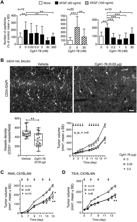 Figure 4. N-terminal fragments of CgA inhibit angiogenesis in vitro and in vivo. (A) Effect of N-terminal fragments of CgA (CgA1-78 and CgA1-76) on bFGF and VEGF-induced angiogenesis in the RAR assay. Bars represent the number of capillary-like structures emerging from the aorta rings expressed as percentage of the untreated control (mean ± SD). (B) Effect of CgA1-76 on vessel density and tumor growth in the murine WEHI-164 fibrosarcoma model. BALB/c mice (n = 6 per group) were treated intraperitoneally at the indicated time (arrows) after tumor implantation, with the indicated doses of CgA1-76. Tumors were excised and stained with anti-CD31 antibody (mAb MEC 13.3, BD Pharmingen) and AlexaFluor 546 goat anti–rat IgG (arrows, endothelial staining) and with 4,6-diamidino-2-phenylindole (DAPI; nuclear staining). Vessel density and tumor volumes are shown. Vessel density was quantified by counting the number of red spots (CD31+) in each field analyzed by fluorescence microscopy (5 fields/section, 3 sections/tumor, 6 tumors/group) using the ImageJ 1.47d software (National Institutes of Health). Each circle represents the average number of vessels/field/section (n = 18). Representative images of CD31 staining (corresponding to 60% area of original fields) are also shown (10× magnification; bar 200 μm). (C-D) Effect of CgA1-76 on tumor growth in the RMA lymphoma and TS/A adenocarcinoma models. Tumor-bearing mice (n = 8-14 per group) were treated intraperitoneally at the indicated time (arrows) after tumor implantation, with the indicated doses of CgA1-76. (A-C) *P < .05; **P < .01; ***P < .001. (A) Two-tailed t test; (B-C) 2-tailed Mann-Whitney test (treated vs untreated).