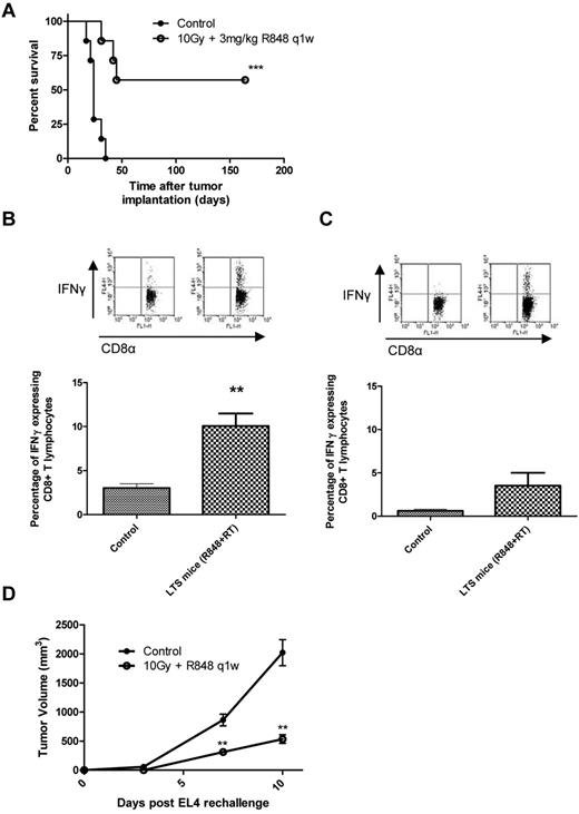 Figure 4. Long-term surviving mice treated with radiation and R848 are protected against subsequent tumor rechallenge by the induction of tumor-specific memory CD8+ cells. (A) Survival curve for EG7 tumor-bearing mice after combination therapy with 10 Gy local RT and R848 dosed weekly. ***P < .001 (log-rank; Mantel-Cox test). (B-C) Splenocytes were isolated from treatment naive control mice and from long-term survivors originally treated with local RT and R848 dosed weekly and cocultured with either 25 Gy irradiated EG7 cells (B) or SIINFEKL peptide (C) before being restimulated with fresh 25 Gy irradiated EG7 cells. **P < .01 (2-tailed Student t test). Experimental groups contained at least 3 mice and are representative of 2 independent experiments. (D) At > 100 days after initial tumor inoculation, a cohort of long-term surviving mice were rechallenged contralaterally with EL4 cells. **P < .01 (Mann-Whitney test). Experimental groups contained at least 5 mice and are representative of at least 2 independent experiments.
