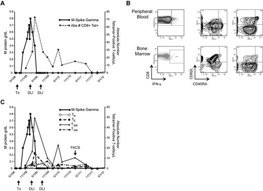 Figure 3. Kinetics and characterization of WT1-CTL. Monitoring the emergence of WT1-CTL post-DLI in UPN7. (A) Absolute number of WT1-CTL determined by HLA-A*0201/RMF MHC-tetramer staining. (B) Frequency and phenotypes of PB and BM-resident WT1-CTL in UPN7 from time point indicated by “FACS” arrow in panel C. Effector memory T cells dominate the PB, whereas BM-resident T cells are predominantly central memory in phenotype. (C) Longitudinal phenotypic analysis of WT1-CTL over the course of the disease in UPN7. TN indicates naive T cells; TE, effector T cells; TEM, effector memory T cells; and TCM, central memory T cells.