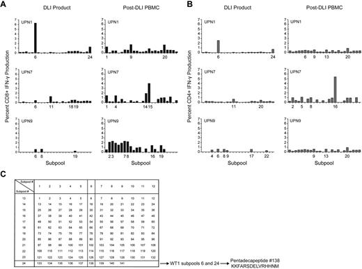 Figure 4. WT1 epitope spreading occurs after DLI. Immunogenic epitopes were identified in 3 healthy donor lymphocyte products and in the 3 patients who received those DLI, at varying time points after T-cell infusion. Epitopes inducing IFN-γ responses were mapped using the grid shown, whereby subpools inducing dominant responses intersect to reveal the single common peptide containing the immunodominant epitope. (A) CD8+ T-cell production of IFN-γ in response to WT1 peptide subpools, in DLI products for, and PBMC isolated from UPN1, UPN7, and UPN9 post-DLI. (B) CD4+ T-cell production of IFN-γ in response to WT1 peptide subpools, in DLI products for, and PBMC isolated from UPN1, UPN7, and UPN9 post-DLI. (C) Epitope mapping grid outlining subpool peptide compositions. The mapping grid consisting of 24 subpools each containing up to 12 WT1-derived pentadecapeptides. Each peptide is uniquely contained within 2 intersecting subpools. For example, subpools 6 and 24, to which CD8+ and CD4+ T cells from the DLI product for UPN1 both react, uniquely share peptide 138.