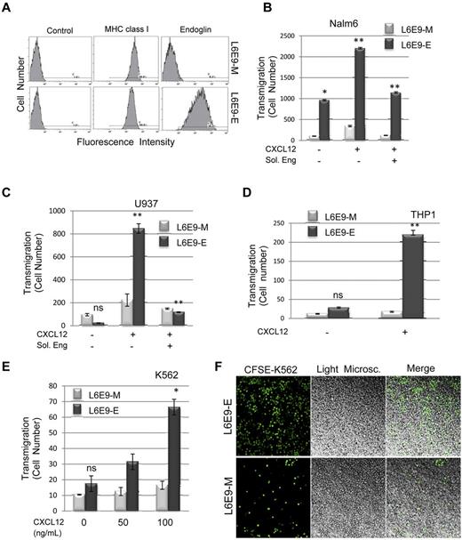 Figure 2. Leukocyte trasmigration through endoglin expressing transfectants. (A) Flow cytometry analysis of endoglin transfectants. Rat myoblast transfectants expressing human endoglin (L6E9-E) and the corresponding mock transfectants (L6E9-M) were analyzed by immunofluorescence flow cytometry using mAbs P4A4 (anti-endoglin), OX18 (anti-MHC class I antigen), as a positive control and X63 (left panels) as a negative control. (B-E) Transmigration assays. Transwell experiments were performed using 0.5-μm pore membranes previously covered with a confluent monolayer of myoblast transfectants (L6E9-M or L6E9-E). To test the migration rate, Nalm6, U937, THP-1, or K562 cells were seeded on top of the transwell and 100 ng/mL CXCL12 (unless stated otherwise) was added to the bottom of chambers. After incubation for 2 hours at 37°C, an aliquot (100 μL) of transmigrated cells was counted by flow cytometry. There is a significant increased transmigration through L6E9-E versus L6E9-M (B-E) that is clearly inhibited in the presence of soluble endoglin (B-C). The transmigration of K562 is much lower than that of Nalm6, U937, or THP-1 cells. Each bar represents the mean value of 6 (B) or 3 (C-D) assays each performed in triplicates (**P < .005; *P < .01; ns, not significant). (F) Confocal analysis of transwells after transmigration. K562 cells were labeled with CFSE, loaded in the wells and subjected to transmigration assays through L6E9-E or L6E9-M transfectants as in panels B and D. Then, remaining cells on transwells were visualized by confocal microscopy. CFSE-labeled cells emitting green light are on the left, monolayers of L6E9 transfectants and K562 transmigrating cells visualized by light microscopy are in the middle, and the merged figures are on the right. Magnification, ×200.