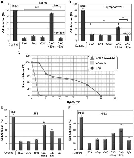 Figure 5. Role of endoglin in static and flow cell adhesion assays. (A,B,D,E) Static cell adhesion. Plates were coated with BSA, human endoglin (Eng), mouse endoglin (mEng; Fc fusion construct), CXCL12 (CXC) or human IgG (used as control of the Fc part of mEng fusion protein), as indicated. Human Nalm6 cells (A), B lymphocytes (B) and K562 cells (E), as well as murine SP2 cells (D) were labeled with CFSE, loaded in the wells (1 × 105 cells/well) and incubated with or without soluble endoglin or the RGD tripeptide, as indicated for 1h at 37°C. Bound cells were lysed and quantification was carried out using a fluorescent analyzer. Results are shown as percentage respect to total cell input (100%). Each assay was performed in triplicate and the SEM is indicated. (*P < .01; **P < .005). (C) Flow adhesion assay. Coated plates were incorporated as the lower wall of a flow chamber and mounted on an inverted microscope equipped with a monochromatic camera. Nalm6 cells were infused and allowed to bind to the substrate before flow rate was adjusted to 1 dyne/cm2 and then increased every 30 seconds. The percentages of cells that remained bound are represented in the vertical axis. A representative video of Nalm6 cells bound to Eng/CXCL12 under increasing flow rates is available online (see supplemental Video 1).