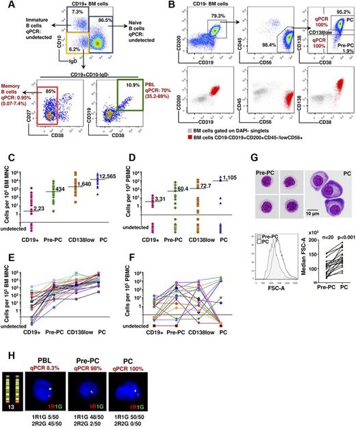Figure 1. Phenotypic and genetic characterization of the clonotypic cellular architecture in myeloma. (A) Multiparameter flow cytometry gating strategy for identification and flow sorting of CD19+ fractions (immature, naive, memory B cells, and PBLs) in the BM of patients with myeloma. Each of the indicated fractions was flow-sorted to high purity and subjected to patient-specific clonotypic genomic DNA quantitative PCR. (B) Top panel: Strategy for characterization of CD19− clonotypic populations. Sequential gating of patient BM CD200+CD319+ and CD45lo/−CD56+ cells allows identification and flow sorting of an almost entirely clonotypic hierarchy of CD138+ (PC), CD138low and CD138− (Pre-PC) cells. Bottom panel: Overlays of the CD19− clonotypic cells (red) over the total BM cells (gray) indicates that, if the traditional gating on CD138+CD38+ events was applied, it would exclude Pre-PC and CD138low cells from further analysis. (C-F) Frequency of clonotypic fractions in BM mononuclear cells (n = 30 patients; C,E) and PBMCs (n = 21 patients; D,F) of patients with myeloma shown as a cohort (C-D) or in individual patients (E-F). Horizontal bars represent median values excluding cases with undetectable clonotypic cells. (G) Top: May-Grünwald-Giemsa staining of flow-sorted Pre-PCs and PCs (original magnification ×1000). Bottom: Histogram and median FSC-A values of Pre-PCs and PCs. (H) Interphase FISH analysis of chromosome 13 complement showing loss of 1 red (13q34) and 1 green signal (13q14), consistent with monosomy 13 in highly purified, flow-sorted PB PBLs, Pre-PCs, and PCs from the same patient, confirmed as enriched in clonotypic cells by quantitative PCR. Chromosome 13 ideogram and location of FISH probes are shown on the left. The upper threshold for normal results is 5%. A minimum of 50 interphase cells were scored by 2 independent analysts in a blinded fashion. The average number of total interphases examined and the number of those with 13q deletion are shown below the FISH image.