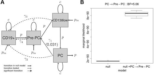 Figure 3. Modeling analysis of differentiation and proliferation profiles of myeloma clonotypic fractions. (A) Likelihood analysis: the different cell types are represented by the gray squares and transitions between them represented by arrows (with associated rate parameters; see supplemental Methods). The set of black solid arrows indicate the transitions in the null model that assumes linear transition from CD19+ cells to PCs via Pre-PC and CD138low cell types. Each dotted arrow indicates an included transition tested (ie, Pre-PC → CD19+ cell, CD138lowPC → CD19+ cell, PC → CD19+ cell transitions) with respect to the null model using a likelihood ratio test. Black dotted lines indicate transitions that were not significant. The PC to Pre-PC transition (indicated by the dotted line) showed a P value of .031, indicating significance at the 5% level. (B) Bayesian analysis of the PC to Pre-PC transition: to further investigate this transition, an MCMC algorithm was developed to fit a fully Bayesian model. The box plot shows the marginal likelihood for the null model and for the null model, including the PC to Pre-PC transition for 10 runs of the MCMC algorithm with different starting values. The Bayes factor of 5.06, here calculated as the ratio of the marginal likelihoods, represents strong evidence for the inclusion of the PC to Pre-PC transition.