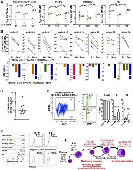 Figure 6. Drug-resistance and quiescence of Pre-PCs in vivo. (A) Frequencies of BM clonotypic cells at diagnosis (D), remission (Rem), and relapse (Rel). (B) Frequency (top panels) and fold change (bottom panels) of clonotypic fractions in 8 patients achieving clinical remission after treatment. Top panels: Absolute frequency changes in the clonotypic fractions. Bottom panel: Relative changes in the frequency of the clonotypic cells. (C) The ratio of PC/Pre-PC fold reduction (median, 10.3; range, 4.4-332; P = .008) as estimated in each patient from panel C. (D) Cell cycle analysis after DAPI staining and multiparameter flow cytometry of BM cells shows that a significantly lower fraction of Pre-PCs than PCs are in S phase. An example and cumulative data from 7 patients are shown. (E) Left: Flow cytometry histograms showing rhodamine 123 dye exclusion by myeloma Pre-PCs and PCs compared with PBLs, naive, and memory B cells. Unstained PCs are shown as a negative control. PCs and Pre-PCs retain comparable levels of rhodamine 123 as assessed by MFI. Right: P-glycoprotein (ABCC1) and ABCG2 are not expressed in Pre-PCs or PCs as assessed by flow cytometry in BM samples. Representative of 10 patient samples. (F) A model of clonotypic hierarchy and myeloma-propagating activity. Memory B cells are at the apex of the clonotypic hierarchy in MM. However, myeloma-propagating activity is detected in the terminally differentiated B lineage cell that through an epigenetic, bidirectional transition can assume the morphologically and immunophenotypically distinct states of Pre-PCs and PCs. In most patients, the equilibrium of Pre-PC to PC transition favors PCs. Although both are enriched in myeloma-propagating activity, Pre-PCs are relatively more quiescent and treatment-resistant than PCs and in vivo are preferentially present in spleen and liver, whereas PCs are the dominant population in BM.