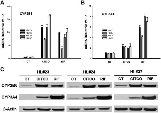 Figure 2. CAR-mediated induction of CYP2B6 and CYP3A4 in human primary hepatocytes. CYP2B6 and CYP3A4 mRNA and protein were measured in human primary hepatocytes prepared from 4 donors treated with CITCO (1μM), RIF (10μM), or vehicle control (0.1% DMSO) as outlined in “Methods.” (A-B) Induction of CYP2B6 and CYP3A4 mRNA analyzed with RT-PCR in HPHs from liver donors (HL#23, HL#24, HL#35, and HL#37). (C) Representative immunoblots of CYP2B6 and CYP3A4 proteins in HPHs from liver donors (HL#23, HL#24, and HL#37). RT-PCR data obtained from 3 independent experiments were expressed as mean ± SD normalized against vehicle control.