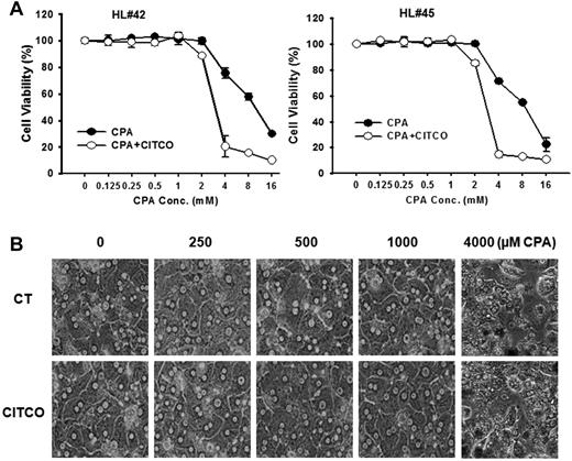 Figure 6. Cytotoxicity of CPA and CITCO in human primary hepatocytes. (A) HPHs from donors (HL#42 and HL#45) in 96-well collagen coated plate were treated with CPA at the wide range of concentrations in the presence and absence of CITCO (1μM). Prototypical MTT assays were performed 48 hours after the treatments as described in “Methods.” Cell viability data represent mean ± SD from 3 independent measurements and are expressed as percent of vehicle control. (B) Morphologic changes of HPHs in the coculture model were monitored under microscopy after various treatments. CPA at 4000μM was used as a positive control demonstrating toxic morphology damages to the HPHs.