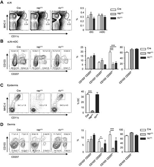 Figure 1. Deletion of Raptor results in a reduction of migratory LCs. (A) FACS analysis of rDC (CD11c+ MHC-II+) and mDC (CD11cint MHC-IIhigh) subsets in sLNs from Cre, rapΔ/Δ, and ricΔ/Δ mice. Populations shown in plots are gated on live cells. Bar graph displays mean frequency ± SEM of rDCs and mDCs (N = 17-21 mice per group). (B) Analysis of Langerin (CD207) and CD103 expression by mDCs in sLNs. Populations in plots are gated on live mDCs as shown in panel A. Numbers and bar graphs indicate mean frequency of cells in the respective quadrant ± SEM. Data were combined from 3 independent experiments with similar results (N = 6 mice per group). (C-D) DCs in the epidermis (C) and dermis (D) of enzymatically digested ear skin from Cre, rapΔ/Δ, and ricΔ/Δ mice. Populations in plots are gated on CD45+ cells (C) and CD45+ MHC-II+ CD11c+ cells (D). Numbers and bar graphs indicate the mean frequency of cells in the respective gate or quadrant ± SEM. Data were combined from 7 (C) and 4 (D) independent experiments with similar results (panel C: N = 15 mice for Cre, N = 13 mice for rapΔ/Δ and ricΔ/Δ; panel D: N = 8 mice for Cre and rapΔ/Δ, N = 5 mice for ricΔ/Δ).