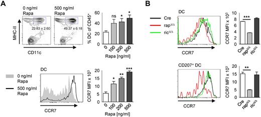 Figure 5. Raptor-deficient DCs express less CCR7. (A) Cells from control mice were left to migrate into medium containing 0, 100, 200, or 500 ng/mL rapamycin. Populations in plots are gated on CD45+ cells. The mean frequency ± SEM of CD11c+ MHC-II+ cells is indicated below the gate and in the bar graph on the right (N = 3 mice per group). The histogram below shows the expression of CCR7 by DCs gated as shown in the top panel without or with 500 ng/mL rapamycin. The bar graph on the right represents the MFI ± SEM of CCR7 with increasing concentrations of rapamycin. (B) gated as shown in panel A. Histograms show the expression of CCR7 by skin derived DCs (top panel) or by CD207+ DCs (bottom panel) isolated by crawl-out from whole skin explants of Cre (black line), rapΔ/Δ (red line), and ricΔ/Δ (green line) mice. Bar graphs represent the MFI ± SEM of N = 2 mice per group. One representative of 2 independent experiments with similar results is shown.