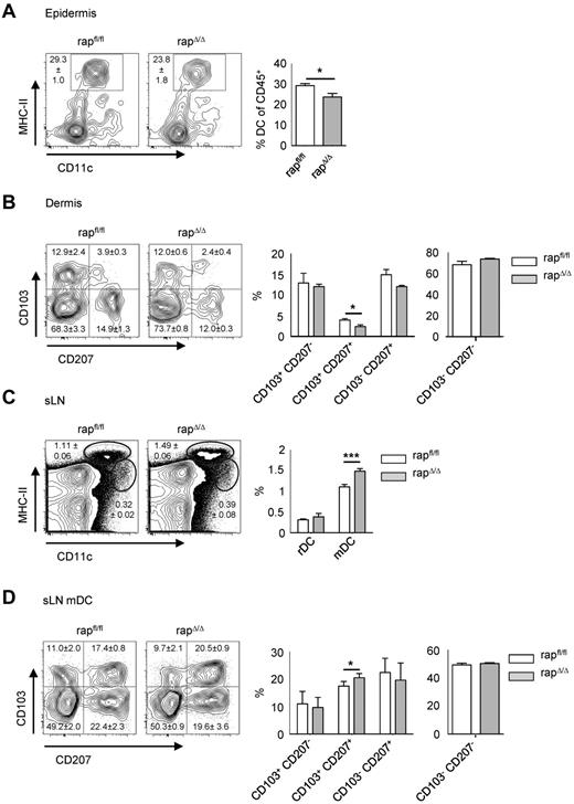 Figure 6. The proportion of mDCs in sLNs of day 12 rapΔ/Δ mice is elevated. FACS analysis of epidermis (A), dermis (B), and sLNs (C-D) of day 12 rapfl/fl and rapΔ/Δ littermates. Cells are gated on CD45+ (A), CD45+ MHC-II+ CD11c+ (B), lymphocytes (C), or MHC-IIhigh CD11cint mDC (D). Numbers and bar graphs indicate mean frequency ± SEM of cells in the respective gate or quadrant (N = 5 mice for rapfl/fl and N = 3 mice for rapΔ/Δ).