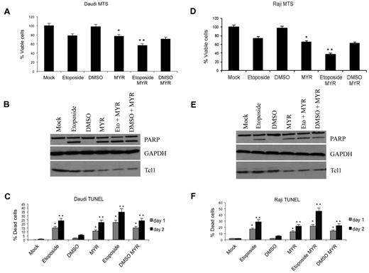 Figure 5. Myr induces apoptosis and reduction of proliferation in lymphoma cells in vitro experiments. (A,D) Daudi and Raji lymphoma cells were treated with etoposide (40μM) for 12 hours and/or Myr (50μM) for 24 hours as indicated and then analyzed by MTS assay. Bar graphs show SD for values from 3 experiments (*P < .05, **P < .005). (C,F) Daudi and Raji lymphoma cells were treated with etoposide (40μM) for 12 hours and/or Myr (50μM) for 24 hours as indicated and then analyzed by TUNEL analysis. Bar graphs show SD for values from 3 experiments (*P < .05, **P < .005). (B,E) Cells lysates from described experiment were immunoblotted with anti-Tcl1, anti-Parp, and anti-Gapdh antibodies.