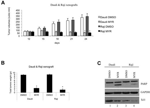 Figure 6. Hsp70 ATPase activity inhibition affects proliferation and growth of tumor xenografts. (A) Graph representing tumor volumes at indicated days during the experiment for the 4 groups of mice indicated (5 mice/group). Two groups of mice were subcutaneously injected with 6 × 107 Daudi lymphoma cells and another 2 groups with 4 × 107 Raji lymphoma cells (day 1). When tumors reached 50 mm3 (day 12), Myr (20 mg/kg) or DMSO in a volume of 50 μL was injected directly into the tumors at 12, 15, 18, and 21 days. Tumors were measured on the day of the injection and 3 days after the last injection. (*P < .05). (B) Xenograft tumors were weighed. (C) Total lysates from tumors were analyzed by Western blotting and tested with indicated antibodies (*P < .05).