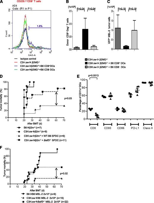 Figure 3. CD8+ DCs are required for optimal GVT effect. Host CD8+ DCs are able to increase GVT effect in allo-HCT. β2m−/− animals received 10 Gy on day −1 and 0.5 × 106 CD8+ T cells along with 5 × 106 TCD-BM from allogeneic C3H.sw donors; syngeneic 2 × 104 MBL-2 tumor cells and 1 × 106 splenic CD8+ DCs or CD8− DCs were added at the time of BMT. MBL-2–specific CD8+ T cells were analyzed by using gag-tetramer staining. (A) The representative histogram of gag expression in CD229.1+CD8+ on day 14 after allo-HCT. The percentage of gag positivity in allogeneic β2MG−/− with host-type CD8+ DCs was 1.8. (B) The absolute number of donor-derived gag-tetramer+CD8+ T cells (n = 6 per group). (C) Absolute number of infiltrated GFP+MBL-2 tumor cells in spleen (n = 6 per group). (D) Impaired GVL response is the intrinsic effect of the absence of Batf3 on DCs. β2m−/− animals received 10 Gy on day −1 and 0.5 × 106 CD8+ T cells along with 5 × 106 TCD-BM from either syngeneic B6 or allogeneic C3H.sw donors; syngeneic MBL-2 tumor cells and 2 × 106 splenic DCs from either B6 WT or Batf3−/− mice were added at the time of BMT. Survival (n = 7 to 11 per group, pooled from 2 experiments). (E) Splenic DC phenotype. The frequency of CD8+ DCs and the expression of costimulation molecules of CD11c+ cells were analyzed from WT B6 and the naive Batf3−/− animals that were not transplanted (n = 3 to 5 per group, pooled from 2 experiments). The bars represent mean ± standard deviation. (F) Tumor mortality data of 2 × 104 MBL-2 cells (n = 9 to 22 per group, pooled from 3 experiments) in the 10× generations Batf3−/− hosts.