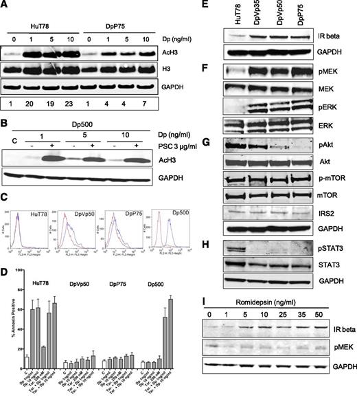 Figure 2. Resistance to romidepsin in HuT78, DpVp50, and DpP75 cells does not involve P-glycoprotein but does involve the MAPK pathway. (A) Whole-cell lysates were prepared from HuT78 or DpP75 cells after a 24-hour incubation in the noted concentrations of romidepsin (Dp), subjected to polyacrylamide gel electrophoresis (PAGE) and transferred to nitrocellulose. Blots were probed with acetylated histone H3 (AcH3), histone H3 (H3), or GAPDH antibodies. Results from 1 of 3 independent experiments are shown; densitometry of AcH3, with normalization to histone H3 levels, is shown on the bottom row. (B) Pgp-expressing Dp500 cells were incubated with the noted concentrations of romidepsin in the presence or absence of 3 µg/mL of the Pgp inhibitor valspodar (PSC). Whole-cell lysates were prepared, subjected to PAGE, transferred to nitrocellulose, and probed with antibodies to AcH3 and GAPDH as in (A). Results from 1 of 3 independent experiments are shown. (C) HuT78 parental, DpVp50, and DpP75 cells were incubated with either an isotype control antibody (red histogram) or with the anti-Pgp antibody MRK-16 (Kamiya Biomedical, Seattle, WA) to detect cell surface expression (blue histogram) for 30 minutes, after which cells were washed and incubated with a phycoerythrin-labeled secondary antibody (Vector Laboratories, Burlingame, CA) and subsequently analyzed by flow cytometry. (D) HuT78, DpVp50, DpP75, and Dp500 cells were treated with 1 or 10 ng/mL of romidepsin (Dp) for 48 hours in the presence or absence of 200 nM of the Pgp inhibitor tariquidar (Tar.) or with tariquidar alone for 48 hours. Cells were harvested and incubated with anti-annexin V antibody and propidium iodide as outlined in Figure 1. Graphed results are from at least 3 independent experiments. Whole-cell lysates were prepared from HuT78 parental, DpVp35, DpVp50, and DpP75 cells, subjected to PAGE, and transferred to nitrocellulose membranes. The membranes were incubated with antibodies to (E) insulin receptor beta or GAPDH; (F) MEK, phosphorylated MEK (pMEK), ERK, or phosphorylated ERK (pERK); (G) Akt, phosphorylated Akt (pAKT), mTOR, phosphorylated mTOR (p-mTOR), IRS2, or GAPDH; and (H) STAT3, phosphorylated STAT3 (pSTAT3), or GAPDH. (I) HuT78 cells were treated with the noted concentrations of romidepsin for 24 hours. Expression of IR beta and pMEK was then examined by immunoblot analysis of whole-cell lysates. GAPDH served as a loading control. All experiments were performed at least 3 times. C, control.