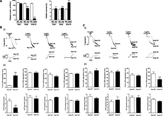 Figure 1. Aberrant function of Shp1- and Shp2-deficient platelets. (A) Platelet counts and volumes from Shp1 KO (n = 37), Shp2 KO (n = 43), Shp1/2 DKO (n = 11), and litter-matched wild-type mice (Shp1 WT, n = 36; Shp2 WT, n = 39; Shp1/2 WT, n = 7). Mean ± SEM; **P < .01, ***P < .001. (B-C) Aggregation and ATP secretion of washed platelets were measured by lumi-aggregometery in response to agonists indicated. (i) Representative traces, n = 4-8 mice/genotype per condition. (ii) Data presented are means (±SEM) of 3 independent experiments (***P < .001). (D) P-selectin expression and fibrinogen binding of (i) Shp1/2 DKO, (ii) Shp1 KO, and (iii) Shp2 KO platelets in whole blood in response to 3 μg/mL CRP, 3 μg/mL convulxin, and 500 μM PAR-4 peptide (PAR4). Geometric mean fluorescence intensity (MFI) ± SD, n = 4-8 mice/genotype per condition, except convulxin-stimulated Shp1/2 DKO conditions, which are n = 2; **P < .01.
