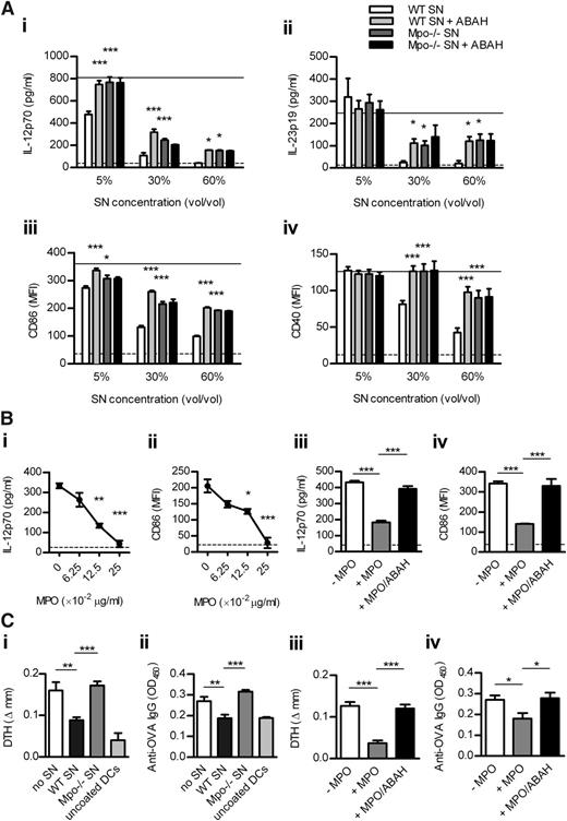 Figure 3. MPO from mouse neutrophils decreases DC activation in vitro leading to reduced adaptive immune response in vivo. (A) BM-derived murine DCs were cultured (18 hours) with LPS (1 μg/mL), H2O2 (100 μM), and increasing doses of supernatant from CB/fMLP (± ABAH)-stimulated WT or Mpo−/− neutrophils. DC activation was assessed by measuring production of IL-12 and IL-23 (ELISA) and expression of CD86 and CD40 (flow cytometry). Solid line represents DCs cultured with LPS/H2O2 only. Dotted line represents unstimulated DCs. (B) DCs were cultured with LPS/H2O2 and (Bi-ii) increasing concentrations of purified enzymatically active mouse MPO or (Biii-iv) with or without MPO (0.125 μg/mL) ± ABAH. (C) OVA323-339-coated DCs, which had been cultured with LPS/H2O2 and (Ci-ii) with or without supernatant (5% v/v) from CB/fMLP-stimulated WT or Mpo−/− neutrophils or (Ciii-iv) with or without purified MPO (0.125 μg/mL) ± ABAH, were injected subcutaneously into WT recipients (n = 6-8/group). Two recipients received uncoated DCs cultured only with LPS/H2O2. OVA-specific skin DTH and serum IgG (1/50 dilution; ELISA) were measured 9 days later. Data are representative of 2-3 independent experiments. Each group in (A-B) contained 4 replicates. *P < .05, **P < .01, ***P < .001. SN, supernatant.