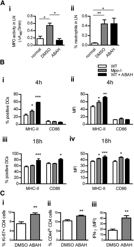 Figure 5. DC activation in LNs is increased by MPO deletion or in vivo inhibition. MPO activity (Ai; assessed by measuring ΔA460 upon oxidation of o-dianisidine dihydrochloride in the presence of H2O2) and neutrophil accumulation (Aii; flow cytometry) in draining LNs of normal (n = 4) and subcutaneously OVA/LPS-immunized WT mice receiving ABAH (n = 4) or DMSO (vehicle; n = 4). (B) DC activation (flow cytometry) 4 hours (Bi-ii) and 18 hours (Biii-iv) after subcutaneous OVA/LPS injection, in draining LNs of WT (n = 6/time point) and Mpo−/− mice (n = 6/time point), and WT mice receiving ABAH (n = 6/time point). CD4 T-cell proliferation (Ci; intracellular Ki-67 staining; flow cytometry), activation (Cii; CD44 expression; flow cytometry), and IFN-γ production (Ciii; intracellular staining, flow cytometry) 3 days after OVA/LPS injection, in draining LNs of WT mice receiving DMSO (n = 6) or ABAH (n = 6). Data are representative of 2 independent experiments. *P < .05, **P < .01, ***P < .001.