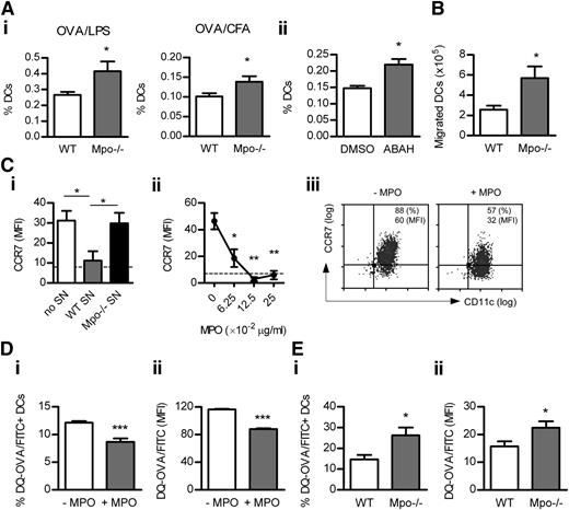 Figure 6. MPO suppresses DC Ag uptake/processing and migration to LNs. The frequency of DCs (CD11chi cells; flow cytometry) in draining LNs of WT (n = 8) and Mpo−/− mice (n = 8) 18 hours after subcutaneous OVA/LPS (Ai) or OVA/CFA (Aii) injection or (Aiii) OVA/LPS-injected WT mice receiving DMSO (n = 8) or ABAH (n = 8). (B) BM-derived CD45.1+ DCs (+OVA/LPS) were injected subcutaneously into CD45.2+ WT (n = 6) and Mpo−/− recipients (n = 6). Accumulation of the transferred DCs in draining LNs was assessed 18 hours later (flow cytometry). (C) CCR7 expression (flow cytometry) on BM-derived murine DCs cultured (18 hours) with LPS (1 μg/mL), H2O2 (100 μM) and (Ci) with or without supernatant (5% v/v) from CB/fMLP-degranulated WT or Mpo−/− neutrophils or (Cii) increasing doses of purified mouse MPO. Dotted line represents unstimulated DCs. (Ciii) Representative flow cytometry plots showing LPS-induced DC CCR7 expression in the absence or presence of mouse MPO (0.0625 μg/mL). (D) DQ-OVA uptake/processing (flow cytometry) by BM-derived murine DCs cultured (2 hours) with DQ-OVA (which exhibits green fluorescence upon proteolytic degradation) and LPS/H2O2 in the presence or absence of mouse MPO (0.125 μg/mL). (E) WT (n = 6) and Mpo−/− mice (n = 6) were injected subcutaneously with DQ-OVA (50 μg) and LPS (30 μg). Uptake/processing of DQ-OVA by DCs was assessed in draining LNs 4 hours later (flow cytometry). Data are representative of 2-3 independent experiments. Each group in (C-D) contained 4 replicates. *P < .05, **P < .01, ***P < .001.
