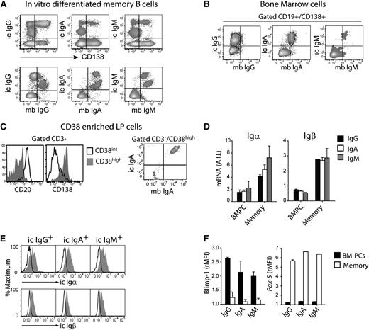 Figure 1. Surface BCR expression on human IgM and IgA PCs. (A) In vitro differentiated memory cells were stained for CD138 and membrane (mb) and intracellular (ic) Ig; 1 representative experiment of 4. (B) Expression of ic and mb IgG, IgA, and IgM in CD19+CD138+-gated BM-PCs; 1 representative experiment of 3. (C) Expression of CD20 and CD138 on the CD38-enriched fraction of colon LP (left panel). Expression of mb and ic IgA in CD3–/CD38high LP-PCs (right panel); 1 experiment of 2. (D) Igα and Igβ mRNA in BM-PCs and memory B cells normalized to 18S RNA. Mean + standard error of the mean (SEM) of 3 donors. (E) Expression of intracellular epitopes (gray histograms) of Igα and Igβ on IgG, IgA, and IgM BM-PCs. Control staining, open histograms; 1 experiment of 3. (F) Expression of Blimp-1 and Pax-5 on BM-PCs and memory B cells. Mean of rMFI + SEM of duplicates; 1 experiment of 3.