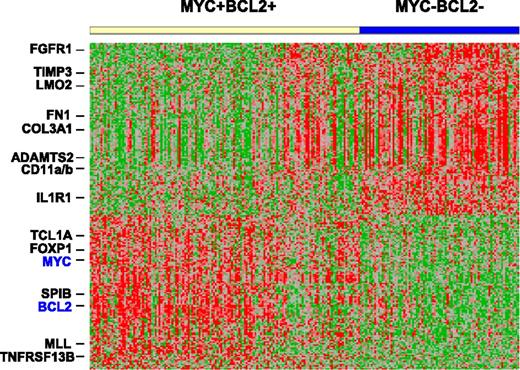 Figure 7. Gene expression signature of DLBCL with MYC/BCL2 coexpression. Comparison of GEPs of DLBCL with MYC/BCL2 coexpression (149 cases) vs DLBCL negative for MYC and BCL2 expression (88 cases). A total of 153 genes corresponding to 219 probe sets were differentially expressed (P < .001).