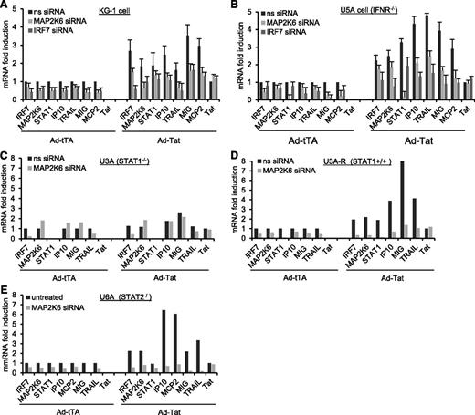 Figure 3. MAP2K6 and IRF7 induce Tat-mediated cellular gene modulation via the p38-STAT1 pathway. mRNA levels of ISGs in KG-iDC (A) and type I IFNR2-deficient 5UA cells (B) transfected with MAP2K6 and IRF7 siRNAs and infected with Ad-TatSF2/Ad-tTA or Ad-tTA alone. Results are normalized to actin and reported as fold induction relative to Ad-tTA–infected cells treated with nonspecific (ns) siRNA. mRNA levels of selected ISGs in (C) STAT1-deficient U3A cells, (D) U3A-R cells (U3A reconstituted with STAT1) infected with Ad-Tat SF2/Ad-tTA or Ad-tTA alone and transfected with MAP2K6 siRNA, and (E) STAT2-deficient U6A cells treated with ns siRNA or siMAP2K6 RNA and infected with Ad-TatSF2/tTA or Ad-tTA alone.