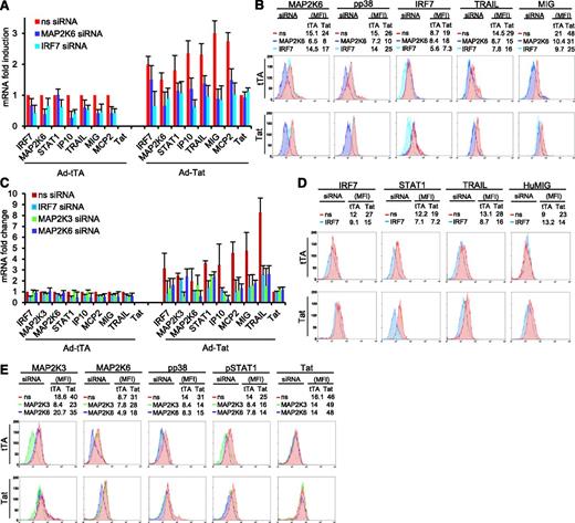 Figure 4. siRNA-mediated knockdown of IRF7, MAP2K6, and MAP2K3 reduces the expression of ISGs induced by Tat in primary iDC and primary MDM. (A) mRNA levels of different genes in iDC infected with Ad-tTA or Ad-TatSF2+Ad-tTA and treated with siRNA, reported as fold induction relative to those observed in Ad-tTA infected iDC, treated with nonspecific siRNA. The average of three independent experiments is reported. (B) Flow cytometric protein expression analysis in iDC infected with Ad-tTA or Ad-TatSF2+Ad-tTA and treated with siRNA, reported as median fluorescence intensity (MFI). (C) mRNA levels of different genes in MDM infected with Ad-tTA or Ad-TatSF2+Ad-tTA and treated with siRNA, reported as fold induction relative to those observed in Ad-tTA infected MDM, treated with nonspecific siRNA. The average of three independent experiments is reported. (D,E) Flow cytometric protein expression analysis in MDM infected with Ad-tTA or Ad-TatSF2+Ad-tTA and treated with siRNA, reported as MFI.