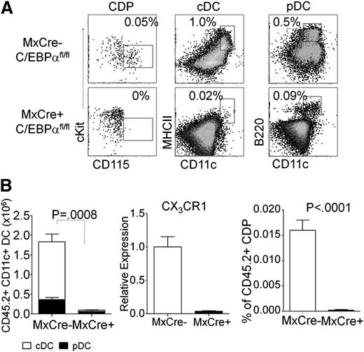 Figure 2. In vivo assay for DC generation from C/EBPα-targeted progenitors. (A) FACS analysis of CD45.2+ donor–derived cells, from 5000 transplanted KSL of C/EBPαfl/fl or Mx1–Cre+ C/EBPαfl/fl–transplanted mice, for CDP (Lin–, Flt3+, FcγRII/III–, cKit+, CD115+, CD11c–) from bone marrow, or cDC (CD19–, CD3–, NK–, CD11c+, MHCII+) and pDC (CD19–, CD3–, NK–, CD11c+, B220+) from the spleen show contribution of donor cells to each population. The data shown are representative dot plots from 3 mice per group for 3 independent experiments with similar results. (B) Absolute numbers of total CD45.2+ CD19–, CD3–, NK– CD11c+ DCs were calculated from total splenocytes (left). B220+ subset of cells was determined to be pDC (black), and B220– MHCII+ cells were cDC (white) and plotted accordingly. CMPs were sorted from either MxCre– C/EBPαfl/fl or MxCre+ C/EBPαfl/fl mice and analyzed for expression of CX3CR1 by RT-PCR. The percentage of CDP from total CD45.2+ bone marrow are presented from KSL of C/EBPαfl/fl or MxCre+ C/EBPαfl/fl–transplanted mice (right). The numbers represent mean ± SD from 4 similarly transplanted mice. One of 3 experiments giving similar results is presented.