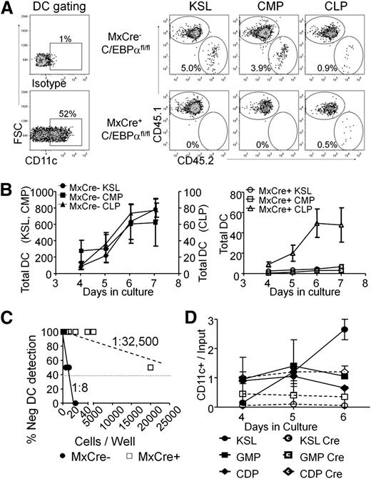 Figure 3. Stage-specific need for C/EBPα in DC progenitors. (A) KSL, CMPs, and CLPs were isolated from the BM of MxCre+ C/EBPαfl/fl or C/EBPαfl/fl mice 2 weeks after 3 poly(IC) injections. 500 progenitor cells were cocultured with 104 Ly5.1+ WBM cells in the presence of Flt3L (200 ng/mL). The resulting cultures were analyzed by flow cytometry for Ly5.1, Ly5.2, MHCII, and CD11c after days 3 to 7. In addition, CD45.1+ cells were subjected to the same culture conditions that were used as controls for efficiency of DC differentiation. Day 5 FACS plots are shown as representative data from triplicate wells of 3 independent experiments. (B) The number of DCs generated in each culture was calculated using cell counts and flow cytometry over days and presented as the number of total DCs (average of 3 wells). On the left are sorted populations from C/EBPα fl/fl, with the DC numbers for KSL and CMPs shown on the left axis and CLP production on the right axis. The graphs on the right are from the same progenitors but sorted from MxCre+ C/EBPαfl/fl mice. Data are presented as mean ± SD of one such experiment that was repeated 3 times. (C) Cloning efficiency was assessed by limiting dilution series of sorted CD45.2+ MxCre+ C/EBPαfl/fl or C/EBPαfl/fl Lin– cKit+ progenitors cocultured with Ly5.1+ Lin– cKit+ BM cells in the presence of Flt3L(200 ng/mL). Cultures were analyzed on day 8 for the presence of CD45.2+ CD11c+ cells. Data are representative of 2 such experiments. (D) The progenitor populations KSL, GMP, and CDP were isolated from the BM of C/EBPαfl/fl mice. These progenitor cells were infected with retrovirus carrying an empty vector with GFP reporter or Cre with GFP reporter. These cells were then cultured with sorted CD45.1+ Lin– cKit+ BM cells in the presence of Flt3L. Cultures were assessed for CD45.2+ CD11c+ GFP+ cells at days 4, 5, and 6. The plot shows a yield of CD11c+ cells per input GFP+ progenitor over time. Data are representative of 2 such experiments.