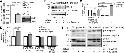 Figure 6. Anti-CD44 antibodies induce cell death in CLL cells by reduction of MCL1 levels and by effector caspase activation. (A) Treatment with IM7 leads to reduction of MCL1 protein levels in murine CLL cells. Shown is a representative immunoblot of 4 independent experiments with splenocytes (isolated from TCL1 transgenic leukemic mice of age ≥ 12 months) that were treated for 24 hours in culture with 10 µg/mL IM7 or isotype control. MCL1 protein expression was quantified by densitometry and normalized to actin control. MCL1 protein in cells treated with IM7 was 0.50 ± 0.05 as compared with isotype (mean ± SEM, P = .0211). (B) Reduction of MCL1 protein levels upon A3D8 ligation in human CLL. Shown is 1 out of 7 representative cases. Numbers indicate densitometric values relative to β-actin. (C) A cocktail of IL-4/CD40L blunted increases of caspase-3/7 activity associated with spontaneous apoptosis in human CLL cells (7 cases; mean ± SEM, 0.40 ± 0.04). Caspase activity is significantly increased by the CD44-targeting clone A3D8 (mean ± SEM, 1.79 ± 0.29; P < .0001) compared with stimulation with the natural CD44 ligands HA and CS, showing mean reductions of 93% (HA) and 92% (CS) (both P = .0006) compared with A3D8-specific isotype. (D) Caspase inhibitors prevent anti-CD44–induced apoptosis (A3D8: mean 1.57 ± 0.20, dose 5 µg/mL; Z-VAD-FMK: mean 1.23 ± 0.20, dose 25 µM; Z-VAD-FMK: mean 0.97 ± 0.07, dose 50 µM; Z-DEVD-FMK: mean 1.05 ± 0.08). Incubation time was 36 hours. Plotted are mean values with SEM. (E) Cleavage of caspase 3 and PARP upon anti-CD44 ligation by A3D8 indicate induction of apoptosis. Shown are 2 exemplary cases out of 7 CLL patients.
