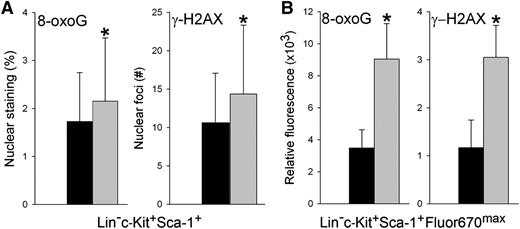 Figure 3. The most primitive LSCs from CML-CP–like mice accumulate oxidative DNA damage. (A) 8-oxoG (163 and 110 cells from 5 and 4 normal and CML-CP–like mice, respectively) and γ-H2AX (162 and 279 cells each from 4 normal and CML-CP–like mice) were detected by immunofluorescence in DAPI-counterstained nuclei of BM-derived Lin−c-Kit+Sca-1+ HSCs/LSCs from healthy (black bars) and CML-CP–like (gray bars) mice; *P < .05 in comparison with healthy counterparts. (B) 8-oxoG (left panel) and γ-H2AX (right panel) were detected in Lin−c-Kit+Sca-1+Fluor670max quiescent cells obtained from at least 5 mice per group by FACS analysis. *P ≤ .001 in comparison with healthy counterparts. DAPI, 4,6 diamidino-2-phenylindole.