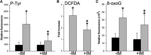 Figure 4. Elevated levels of ROS and oxidative DNA damage in quiescent LSCs treated with imatinib. Lin−c-Kit+Sca-1+Fluor670max quiescent HSCs/LSCs from healthy (black bars) and CML-CP–like (gray bars) mice were untreated or treated with 1 μM imatinib (−IM and +IM, respectively) followed by FACS analysis of phosphotyrosines (P-Tyr), ROS, and 8-oxoG. (A) P-Tyr was measured in 7 LSC and 4 HSC samples; *P = .039 in comparison with untreated HSCs and **P = .028 in comparison with untreated LSCs. (B) Fold change of ROS detected in 3 LSCs vs 2 HSCs samples; *P = .010 and **P = .017 in comparison with corresponding HSCs. (C) 8-oxoG was examined in 4 LSCs and 5 HSCs samples; *P = .002 and **P = .031 in comparison with corresponding HSCs.