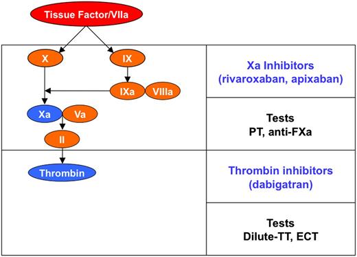 Figure 1. Schematic representation of coagulation. DOACs and tests suggested for the measurement of their anticoagulant effect. ECT, ecarin clotting time; PT, prothrombin time; TT, thrombin clotting time.