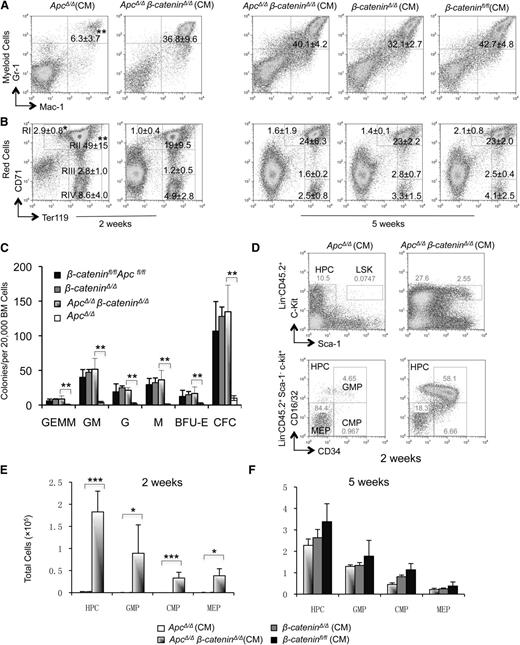 Figure 3. β-catenin deletion reverses myeloid and erythroid cell differentiation blockage and exhaustion induced by Apc loss. (A-B) Histograms represent the frequency of Mac-1+Gr+ (A) myeloid cells and (B) erythroblasts in BM from ApcΔ/Δ and ApcΔ/Δβ-cateninΔ/Δ CM (left, 2 weeks after induction) or ApcΔ/Δβ-cateninΔ/Δ, β-cateninΔ/Δ, and β-cateninfl/fl (right, 5 weeks after induction). Mean ± standard deviation (SD); n = 4. (C) In vitro colony-forming unit (CFU) assays. The number of BM CFC, CFU-granulocyte-erythroid-monocyte-megakaryocyte, CFU-granulocyte-macrophage, CFU-granulocyte, CFU-megakaryocyte, and burst-forming unit-erythroid was examined in Mx1-Cre Apcfl/fl, Mx1-Cre Apcfl/flβ-cateninfl/fl, Mx1-Cre β-cateninfl/fl, and β-cateninfl/fl mice 5 days after induction (mean ± SD, n = 3). (D) Representative histograms are shown for the frequency of subpopulations of myeloid progenitor cells in ApcΔ/Δ and ApcΔ/Δβ-cateninΔ/Δ CM 2 weeks after induction. (E-F) Absolute number of myeloid progenitor cells in BM from (E) ApcΔ/Δ and ApcΔ/Δβ-cateninΔ/Δ CM (mean ± SD; n = 6-7) 2 weeks after induction or (F) BM from ApcΔ/Δ β-cateninΔ/Δ, β-cateninΔ/Δ, and β-cateninfl/fl (mean ± SD; n = 3) 5 weeks after induction. *P < .05; **P < .01; ***P < .001.