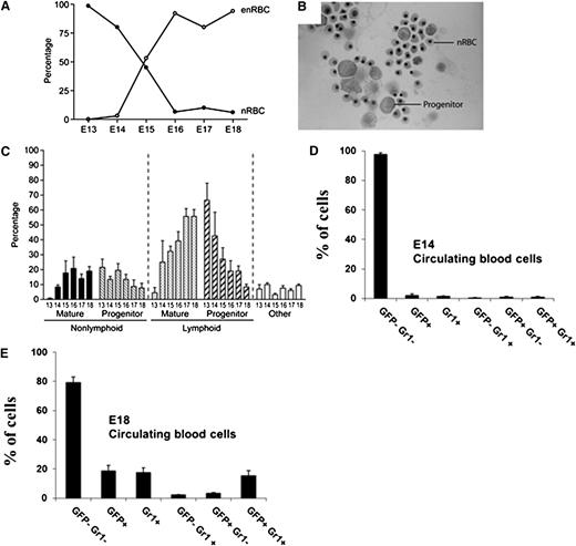 Figure 2. Phenotypic analysis of cell subsets in the circulation at different days of gestation. (A) The graph shows the frequency of nRBCs vs enucleated RBCs (enRBCs) between E13 and E18 (determined as percentage of total RBCs). (B) At E15, nRBCs and large mononuclear cells with features typical of progenitors are readily found on cytospin preparations stained with modified Giemsa. (C) The differential white blood cell count in fetal blood between E13 and E18 is shown. Cells included within the category “other” include primordial stem cells, monocytes, basophils, and eosinophils. (D-E) In addition, fetal LysEGFP+ and LysEGFP− blood leukocytes were investigated for their expression of the neutrophil marker Gr1 at (D) E14 and (E) E18.