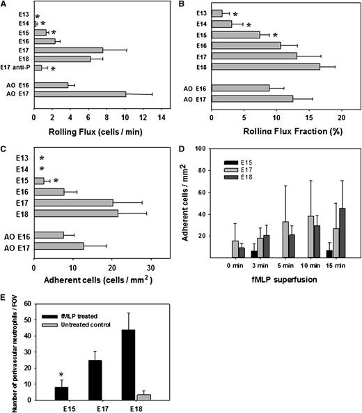 Figure 3. Leukocyte rolling and adhesion in inflamed yolk sac vessels during fetal development. (A) Rolling flux (number of rolling EGFP+ or AO+ cells per minute, mean ± standard error of the mean), (B) rolling flux fraction (rolling EGFP+ or AO+ cells to all EGFP+ or AO+ cells, respectively, passing the vessel per minute), and (C) adhesion (cells per square millimeter; mean ± standard error of the mean) of EGFP+ or AO+ blood cells in murine yolk sac vessels (n > 3 mice per group and n > 3 vessels per mouse). In addition, induction of EGFP+ (D) cell adhesion in yolk sac vessels and (E) extravasation into perivascular tissue are shown following local stimulation (superfusion) with the formyl peptide fMLP (n > 3 mice per group). Significant differences (P < .05) vs E18 (A-C) are indicated by the asterisk. anti-P, P-selectin blocking antibody.