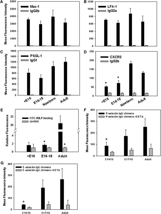 Figure 5. FACS analysis of adhesion relevant molecules on Gr-1+ blood cells isolated from E13 to E18 fetuses, newborn, and adult mice. Expression of the surface molecules (A) Mac-1, (B) LFA-1, (C) PSGL-1, and (D) CXCR2 including appropriate isotype controls are shown as mean fluorescence intensity values (mean ± standard error of the mean) from ≥3 experiments per group. (E) In addition, FITC-labeled fMLP binding to Gr-1+ fetal and adult cells was investigated in the absence or presence of excess (500-fold) unlabeled fMLP. Finally, (F) P-selectin and (G) E-selectin IgG chimeric protein binding (±EDTA) to Gr-1+ blood cells is shown (mean fluorescence intensity values, mean ± standard error of the mean from n ≥ 3 mice per group). Significant differences (P < .05) vs adult values are indicated by the asterisk.