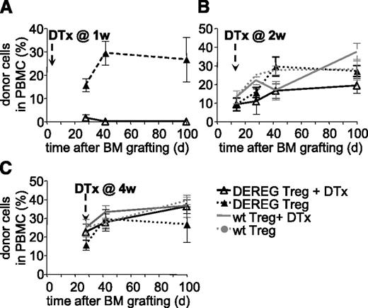 Figure 2. Administered Treg are dispensable for persistence of tolerance to BM allografts. Sublethally irradiated B6 WT mice were grafted with CBA BM coinjected with 2.106 DEREG or WT Treg in vitro cultured with (CBA × B6)F1 antigen-presenting cells. Treg depletion by diphtheria toxin (DTx) injection was performed 1 (A), 2 (B), or 4 (C) weeks after transplantation. Allograft survival was followed up to 100 days. Shown is the percentage of donor cells among PBMC, as assessed by flow cytometry, mean values ± SD (n ≥ 5, 4 independent experiments).
