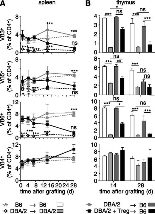 Figure 3. BM allografts induce deletion of donor-specific T cells. Sublethally irradiated B6 mice were grafted with DBA/2 BM coinjected (or not) with 2.106 Thy1.1+ Treg in vitro cultured in presence of DBA/2 antigen-presenting cells. Control syngeneic chimeras were realized by reconstituting sublethally irradiated B6 and DBA/2 mice with syngeneic BM. TCR-Vβ3, Vβ5, Vβ6-expressing CD4+ T cells are specific for superantigens presented in DBA/2 (but not B6) mice. The percentage of Vβ+ cells among host CD4+ T cells was assessed by flow cytometry in the spleen (A) and thymus (B) at the indicated time points after reconstitution. Vβ4-expressing T cells do not recognize superantigens in DBA/2 mice. Indicated are mean values ± SD (n ≥ 4, 4 independent experiments). *P < .05, **P < .01, ***P < .001. ns, not significant, Student t test.